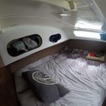 Kittiwake 11