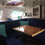 Kittiwake 2