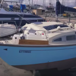 Kittiwake 3