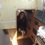 Kittiwake 8