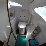 Kittiwake 9