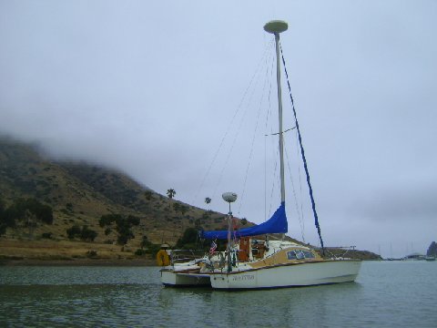 Martes_Catalina