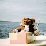 Teddy_Sailing
