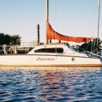 fleraermaus1