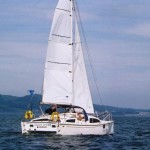 Grey_Dove_in_the_Forth