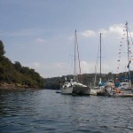 Macavity_in_Fowey
