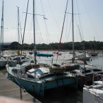 Sally,_Two_Tones_&_Gee_Bee